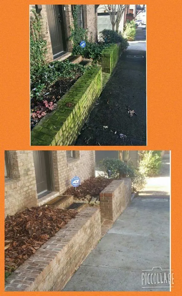 Custom lawn mowing service in Ball Ground, GA by Evergreen Property Care