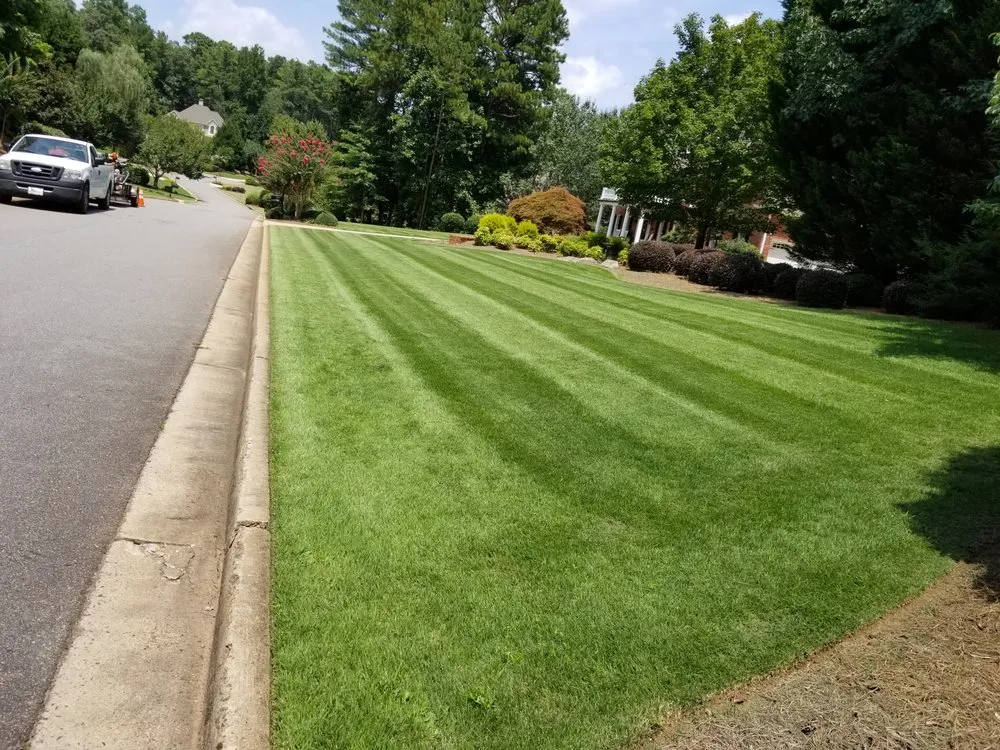 Expert lawn care service experts serving Ball Ground, GA - Evergreen Property Care