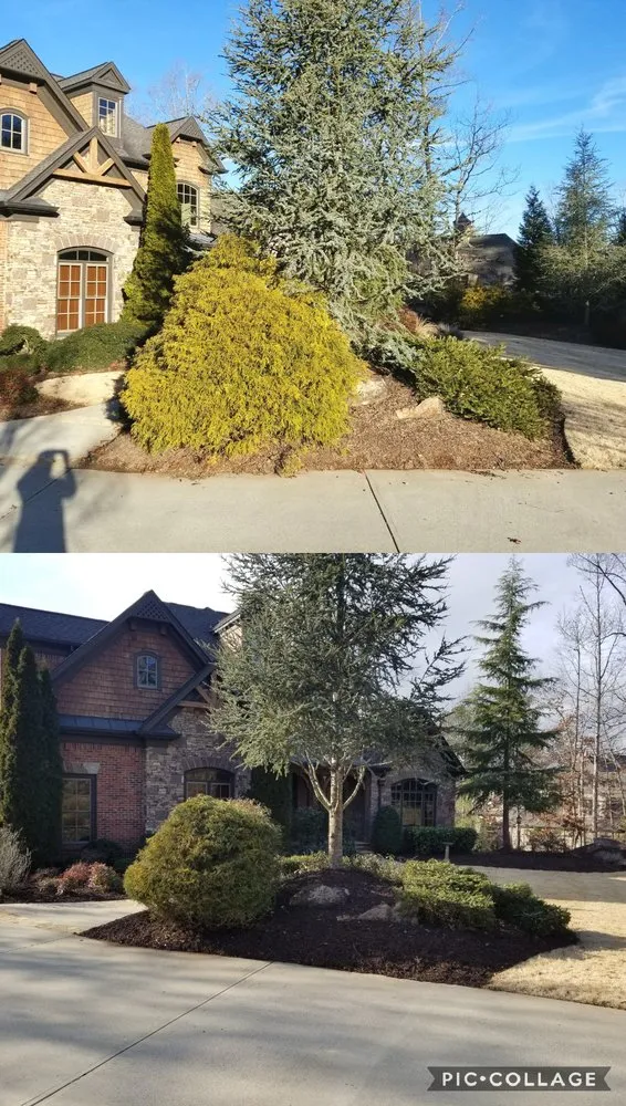 Affordable lawn mowing service in Ball Ground, GA - Evergreen Property Care