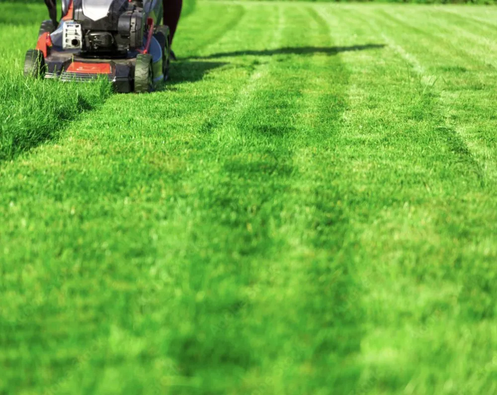 Expert landscape installation in Rochester, NY - Evergreen Property Enterprises