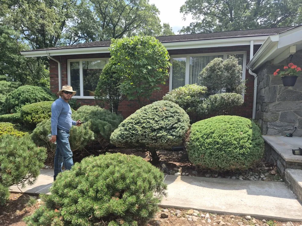 Expert lawn mowing service in totawa, NJ by Evergreen Property Services