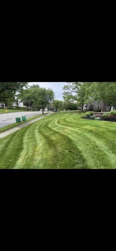 Custom yard maintenance experts serving totawa, NJ - Evergreen Property Services