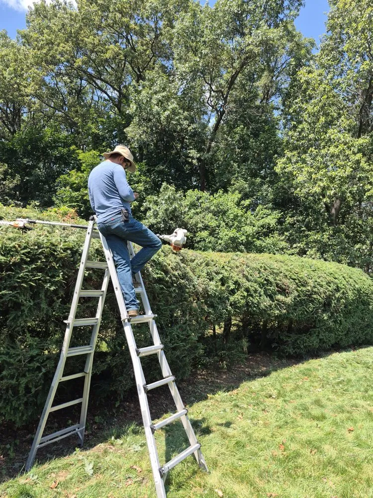 Professional yard maintenance for outdoor upgrades in totawa, NJ by Evergreen Property Services