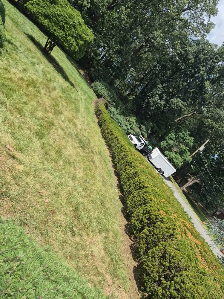 Expert lawn care service for outdoor upgrades in totawa, NJ by Evergreen Property Services