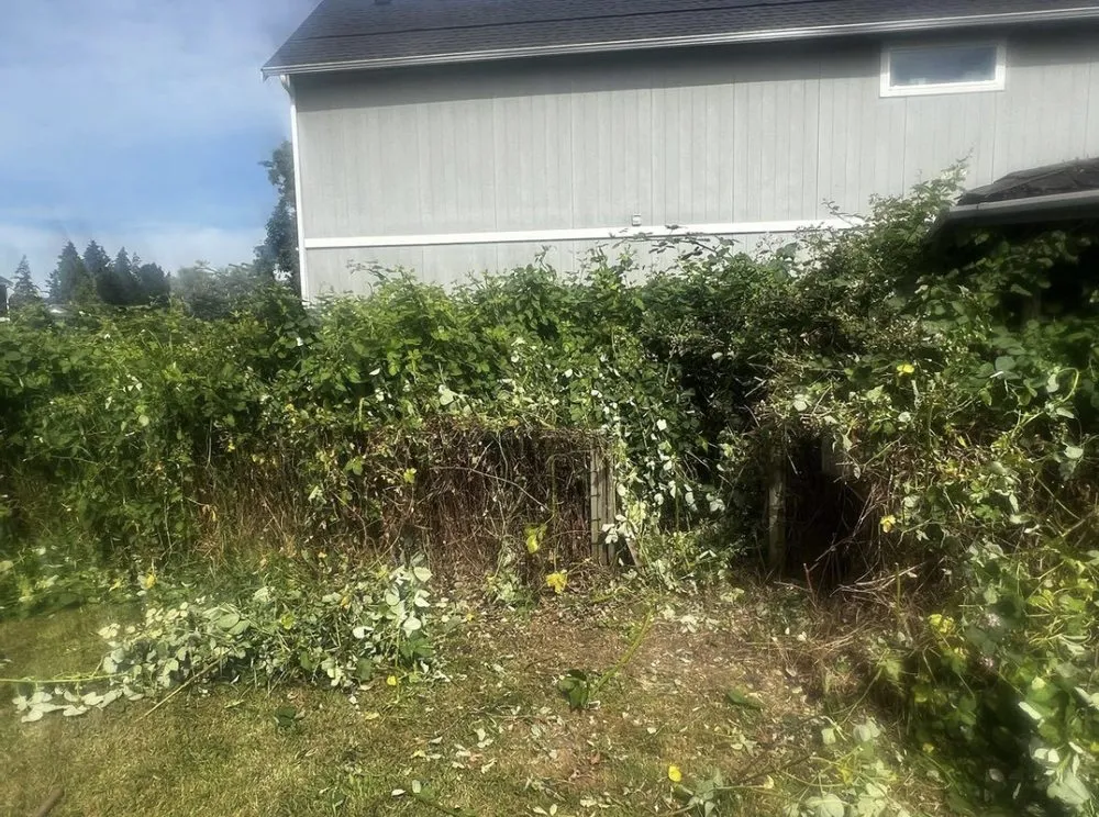 Trusted landscaping services experts serving Spanaway, WA - Evergreen Proscapes