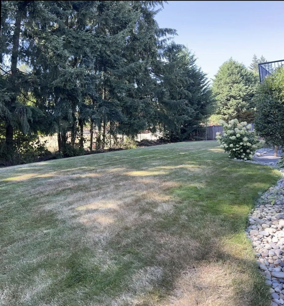 Affordable lawn care service for year-round maintenance in Spanaway, WA by Evergreen Proscapes