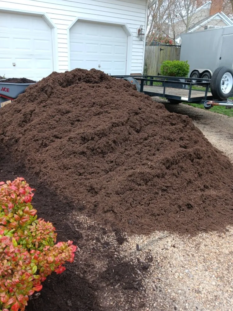Affordable landscaping services in Newport News, VA - Evergreen Righteous