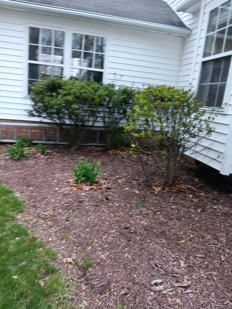Affordable lawn care service in Newport News, VA by Evergreen Righteous