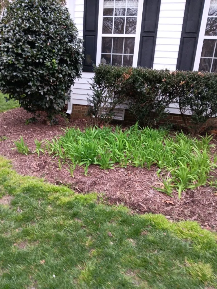 Reliable outdoor landscaping in Newport News, VA by Evergreen Righteous