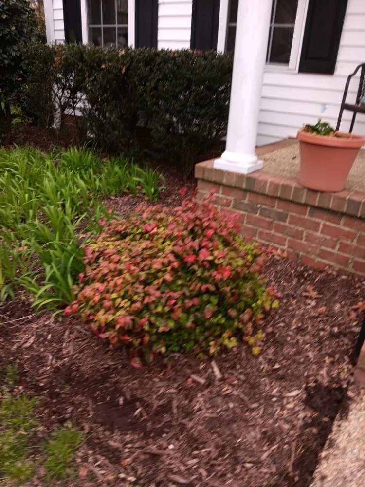 Top-rated residential landscaping experts serving Newport News, VA - Evergreen Righteous