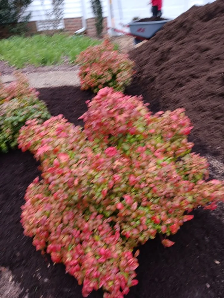 Reliable landscape design in Newport News, VA by Evergreen Righteous