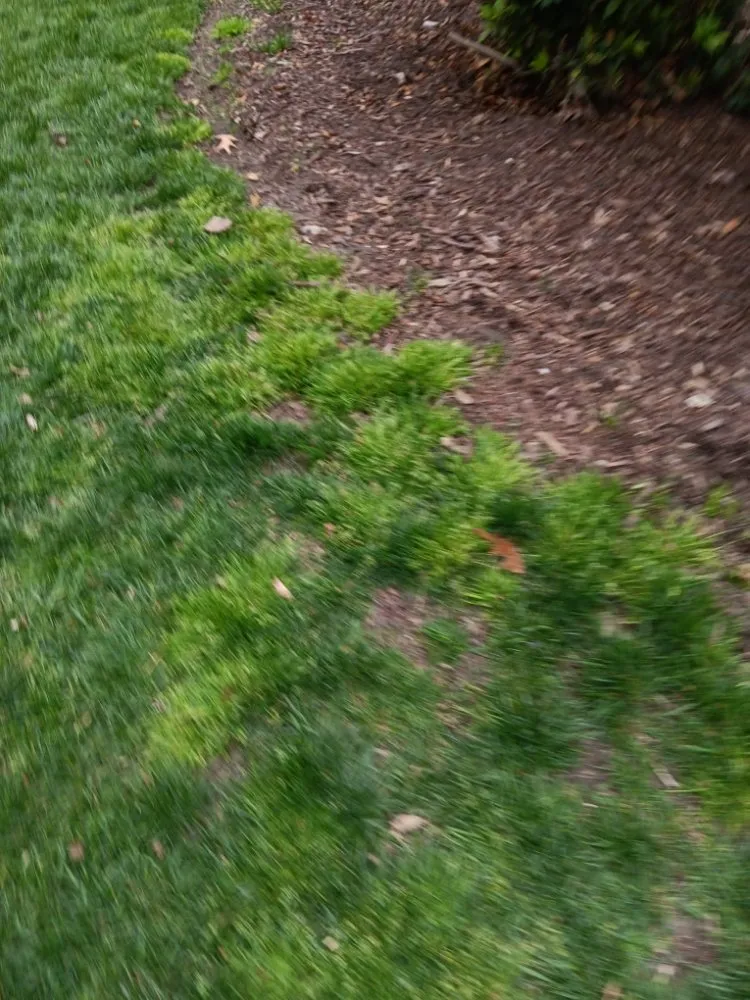 Expert lawn mowing service in Newport News, VA - Evergreen Righteous