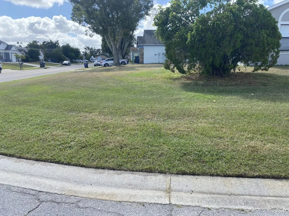 Expert outdoor landscaping in Bradenton, FL - Evergreen Roots