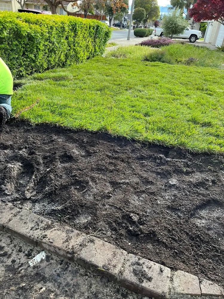 Top-rated residential landscaping for residential properties across Kent, WA - Evergreen Royalty Landscaping