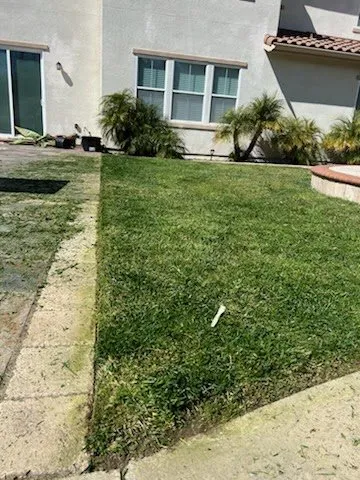 Affordable landscaping services for residential properties across Kent, WA - Evergreen Royalty Landscaping