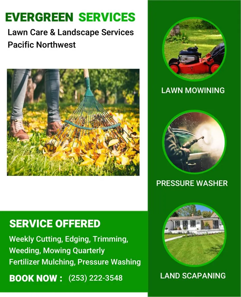Reliable yard cleanup service in Tacoma, WA by Evergreen services