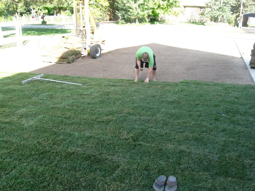 Trusted lawn care service in Ogden, UT - Evergreen Sod