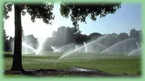 Affordable residential landscaping for homes across West Palm Beach, FL - Evergreen Sprinkler & Landscaping Services