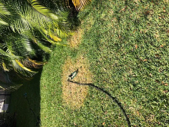 Trusted yard cleanup service with custom design across West Palm Beach, FL - Evergreen Sprinkler & Landscaping Services
