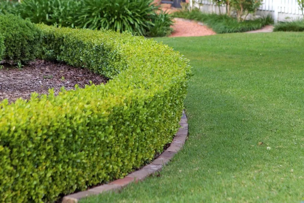 Trusted lawn care service in West Palm Beach, FL - Evergreen Sprinkler & Landscaping Services