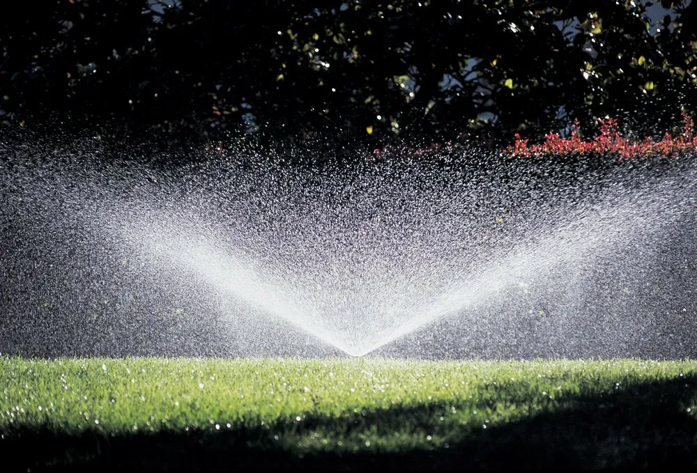 Top-rated landscape design in West Palm Beach, FL by Evergreen Sprinkler & Landscaping Services