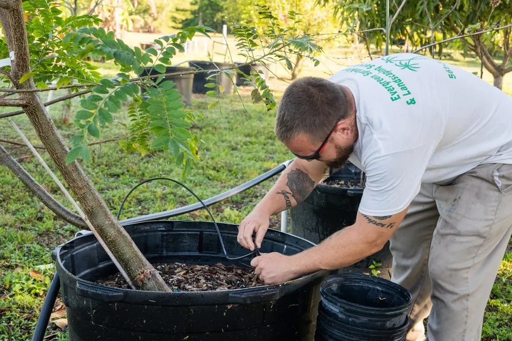 Custom lawn mowing service for residential properties across West Palm Beach, FL - Evergreen Sprinkler & Landscaping Services
