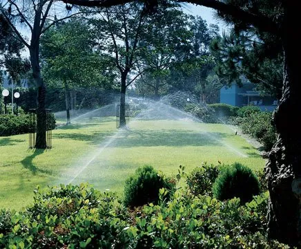 Top-rated residential landscaping for year-round maintenance across West Palm Beach, FL - Evergreen Sprinkler & Landscaping Services