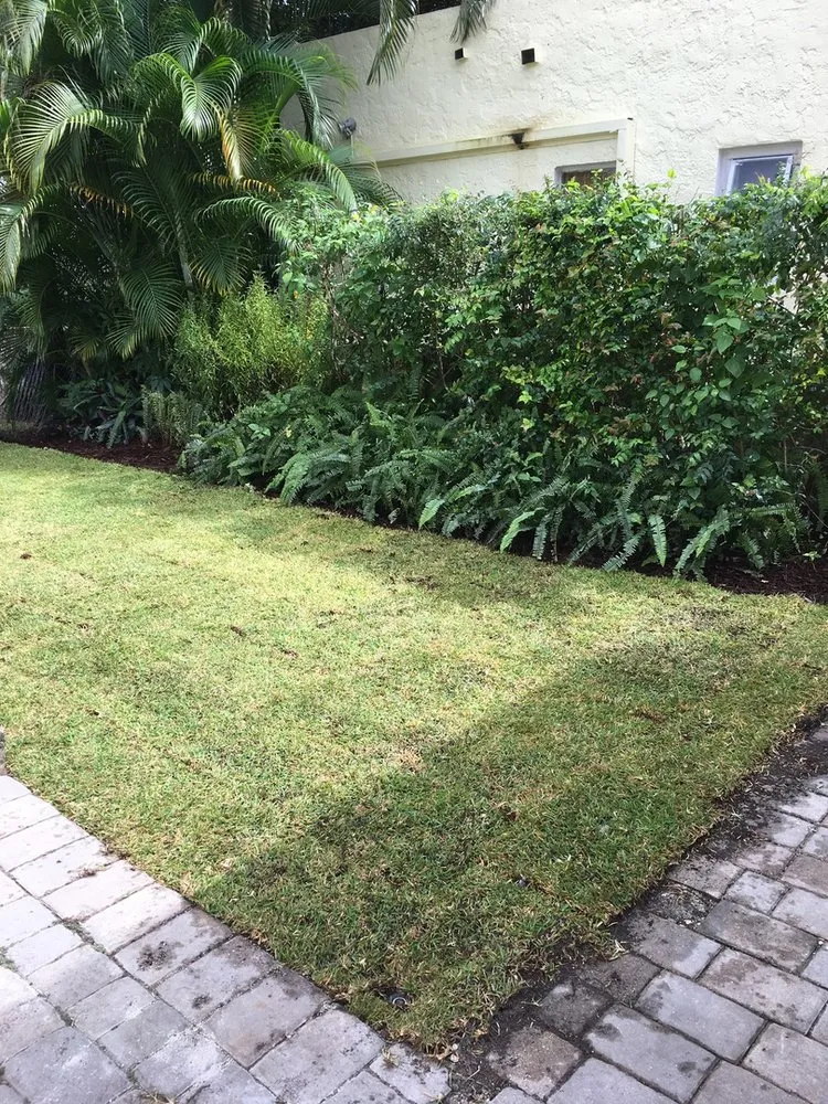 Affordable yard cleanup service for beautiful yards in Miami, FL by Evergreen Sprinkler Systems