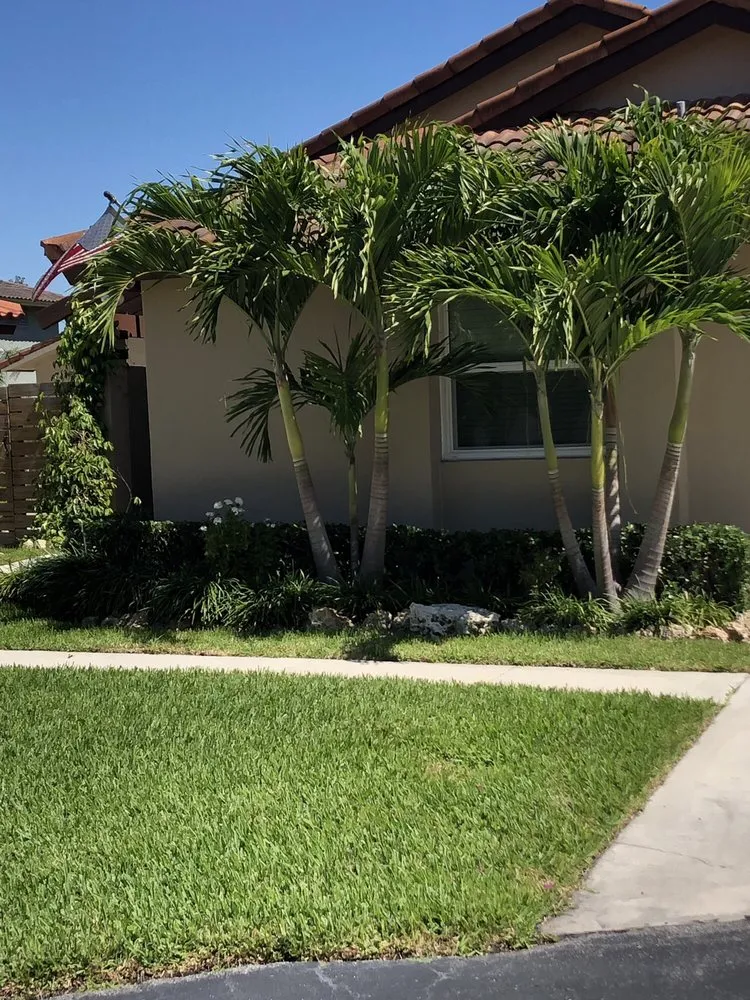 Top-rated outdoor landscaping for residential properties across Miami, FL - Evergreen Sprinkler Systems