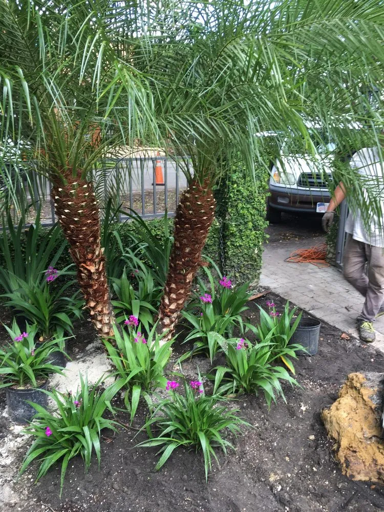 Reliable lawn mowing service in Miami, FL - Evergreen Sprinkler Systems