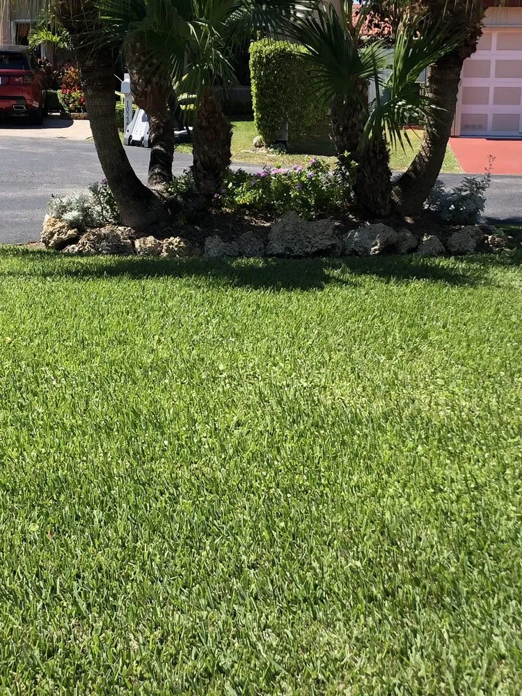 Affordable lawn mowing service in Miami, FL - Evergreen Sprinkler Systems