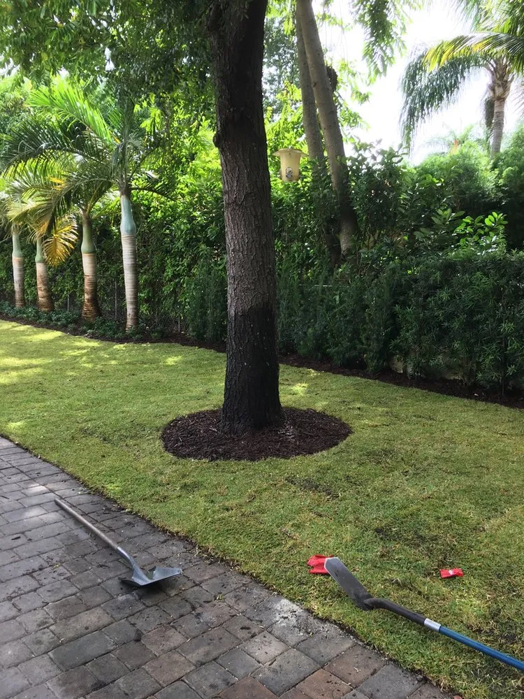 Professional landscape installation for outdoor upgrades across Miami, FL - Evergreen Sprinkler Systems