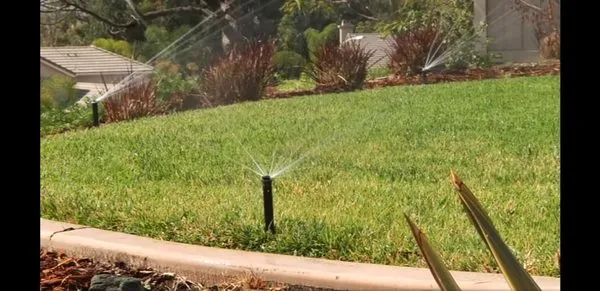 Evergreen Sprinklers