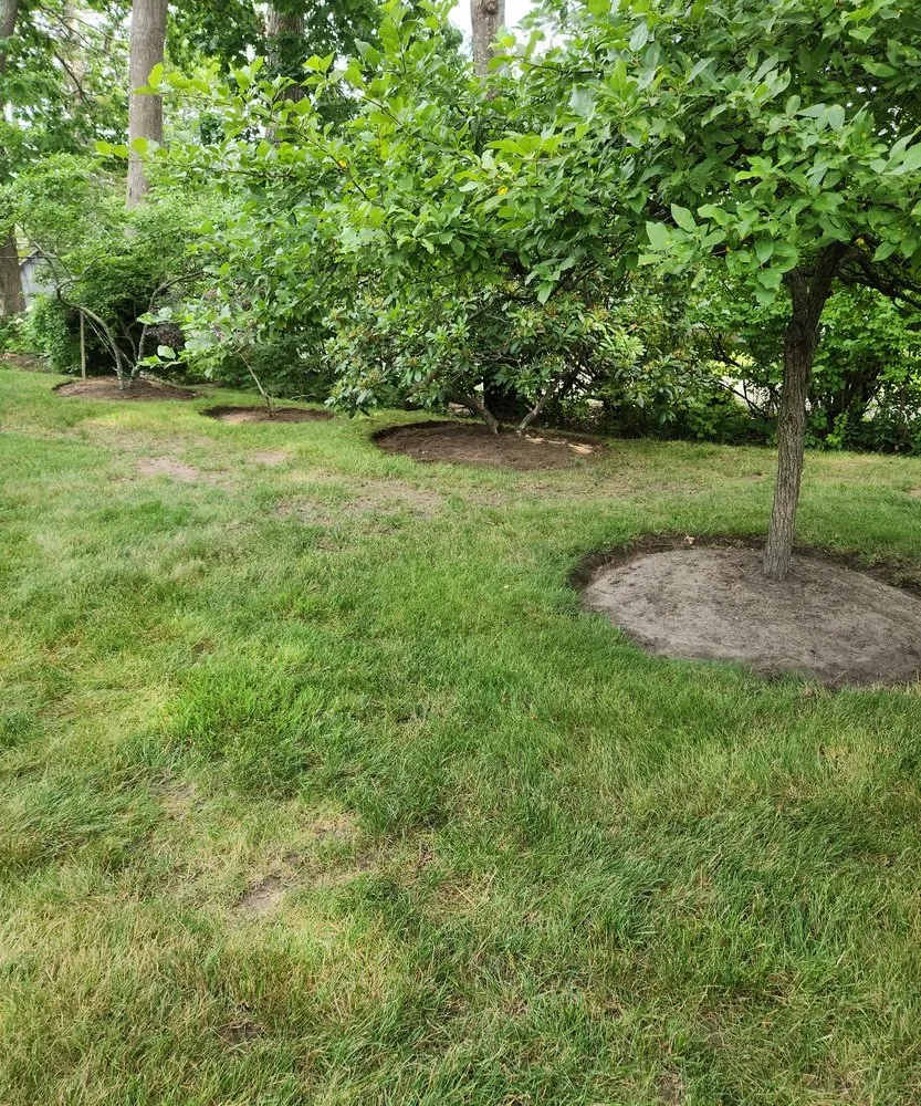 Local garden landscaping in Sanford, ME by Evergreen State Cleaners