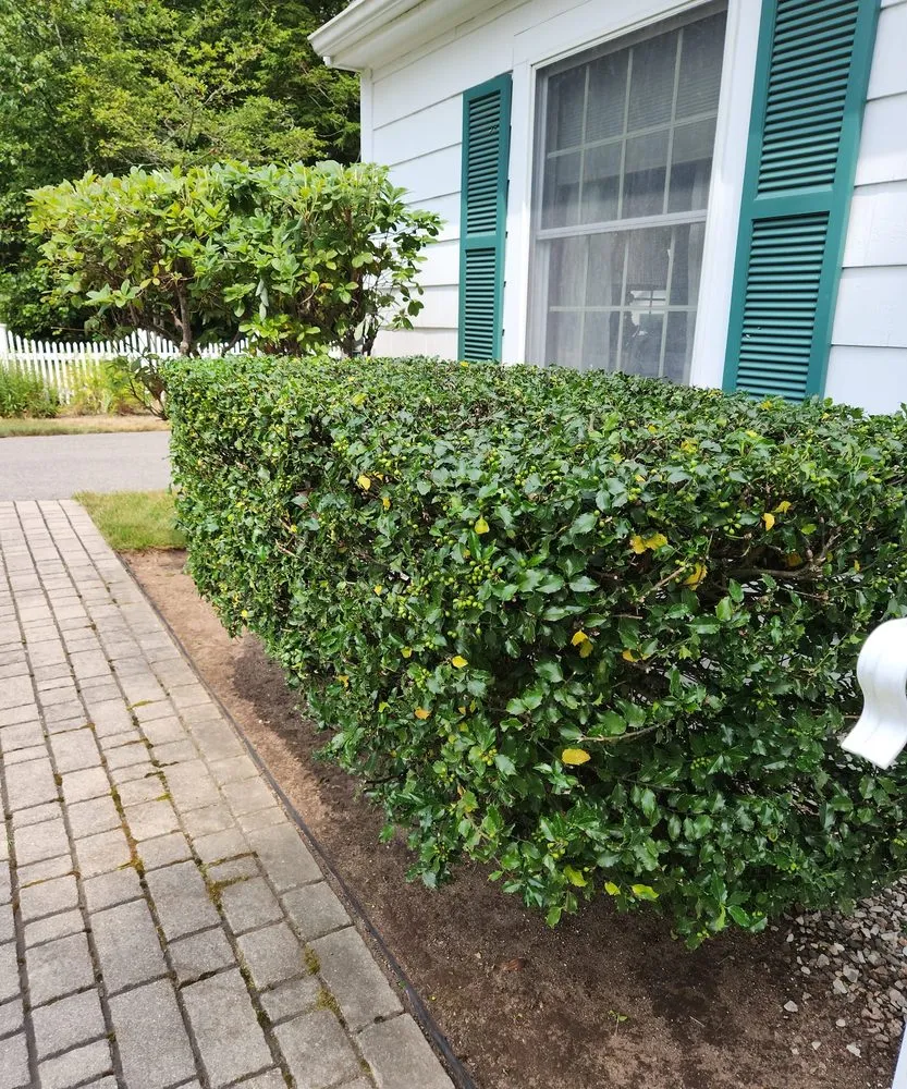 Expert lawn care service in Sanford, ME by Evergreen State Cleaners