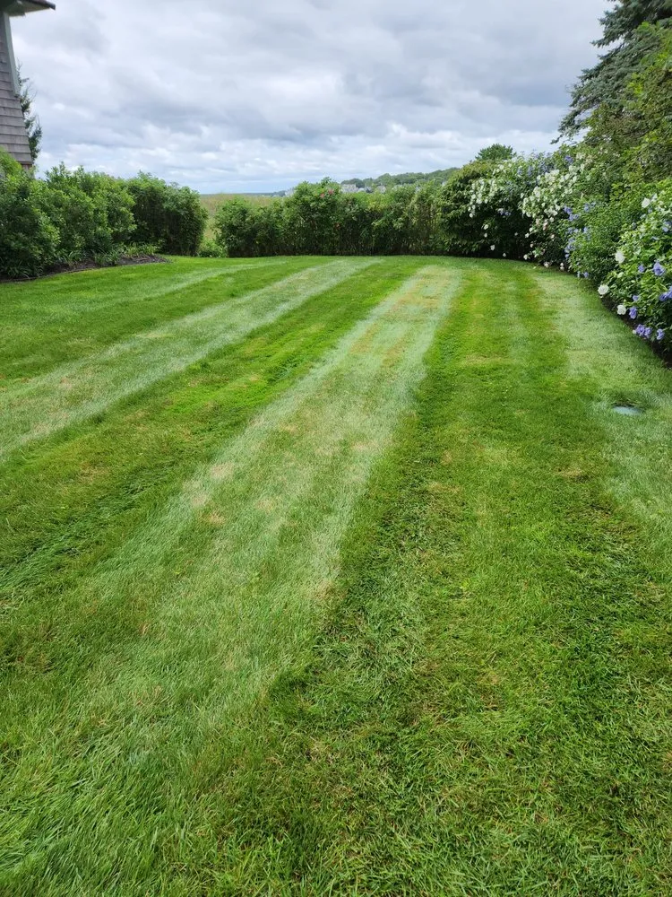 Expert yard cleanup service for homes in Sanford, ME by Evergreen State Cleaners