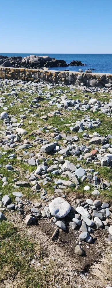 Custom yard cleanup service in Sanford, ME - Evergreen State Cleaners