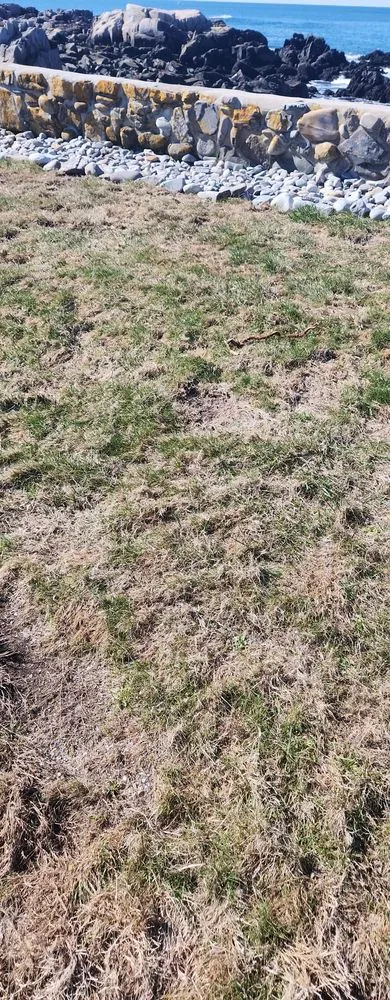 Affordable lawn care service for beautiful yards in Sanford, ME by Evergreen State Cleaners