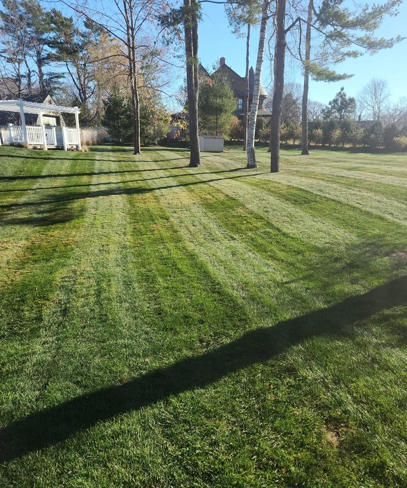 Trusted yard cleanup service for year-round maintenance across Sanford, ME - Evergreen State Cleaners