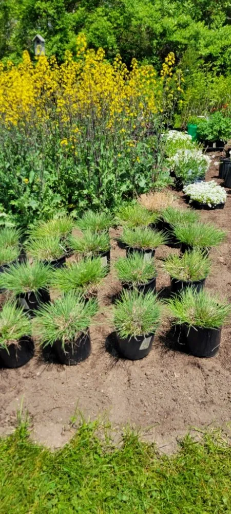 Custom residential landscaping for homes in Sanford, ME by Evergreen State Cleaners