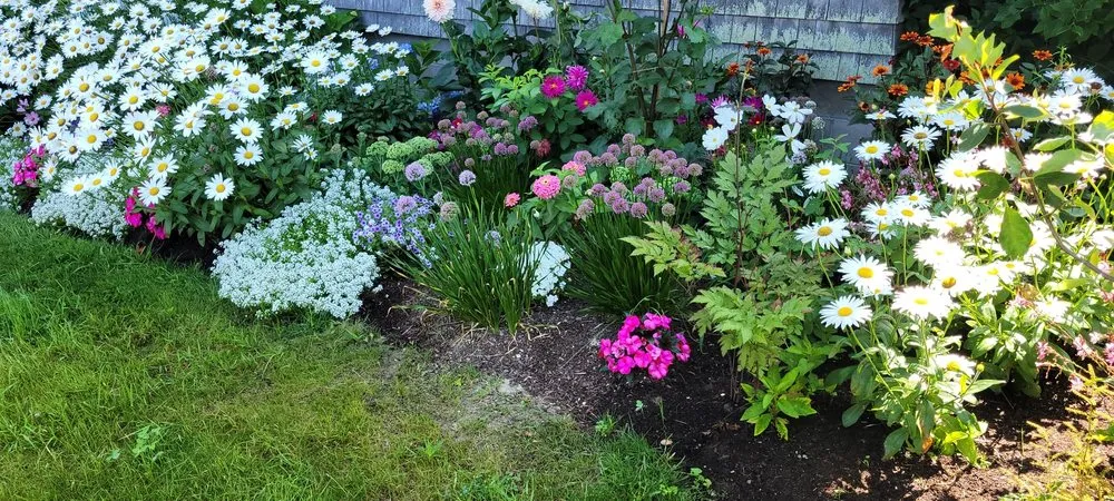 Custom yard cleanup service near you in Sanford, ME by Evergreen State Cleaners