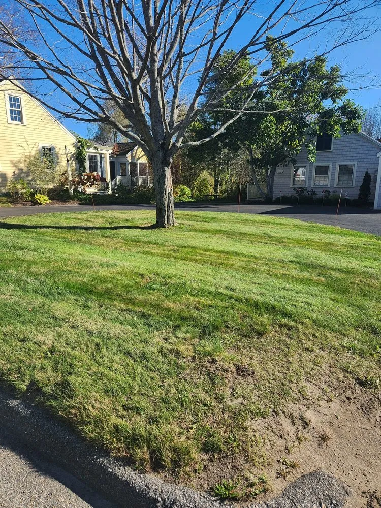 Affordable landscape design for outdoor upgrades across Sanford, ME - Evergreen State Cleaners