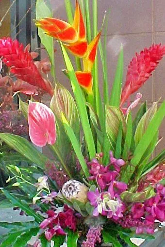 Expert residential landscaping for homes across Boca Raton, FL - Evergreen Tech Landscaping