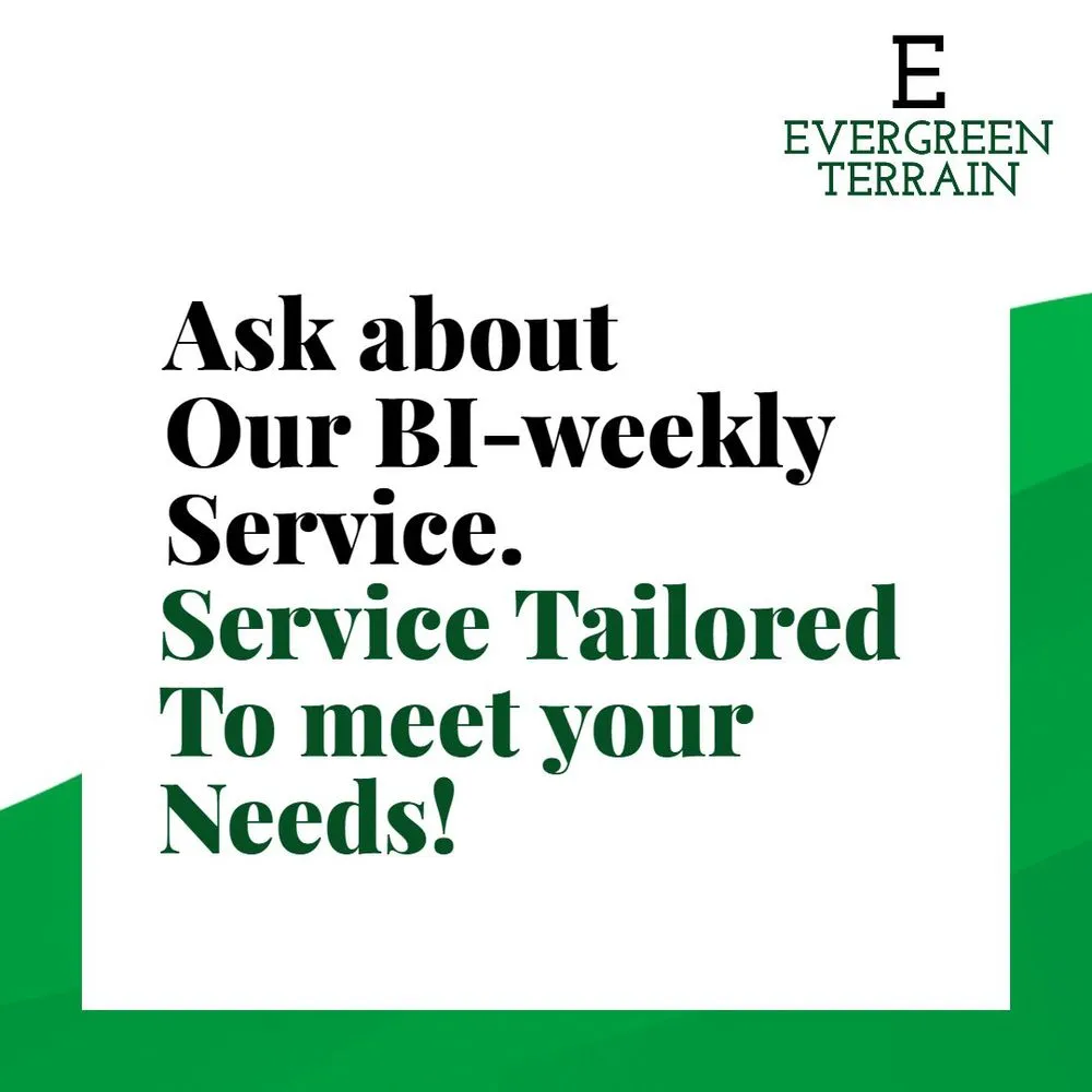 Trusted landscape design in Savannah, GA - Evergreen Terrain