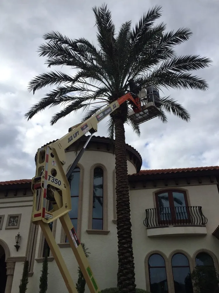 Affordable garden landscaping for homes across Plant City, FL - Evergreen Total Landscape Services