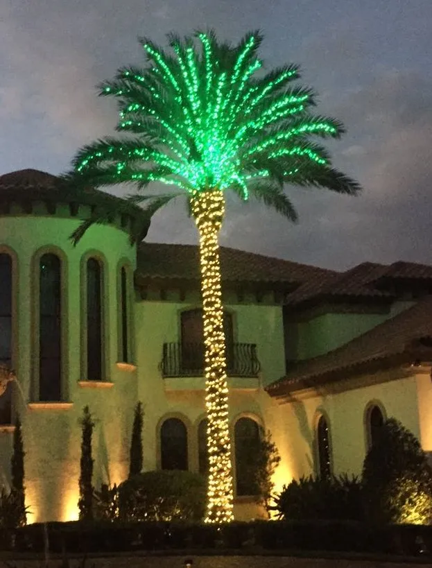 Trusted lawn mowing service experts serving Plant City, FL - Evergreen Total Landscape Services