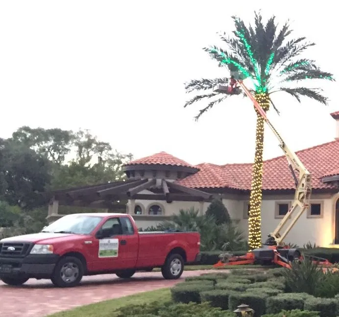 Professional yard cleanup service in Plant City, FL - Evergreen Total Landscape Services