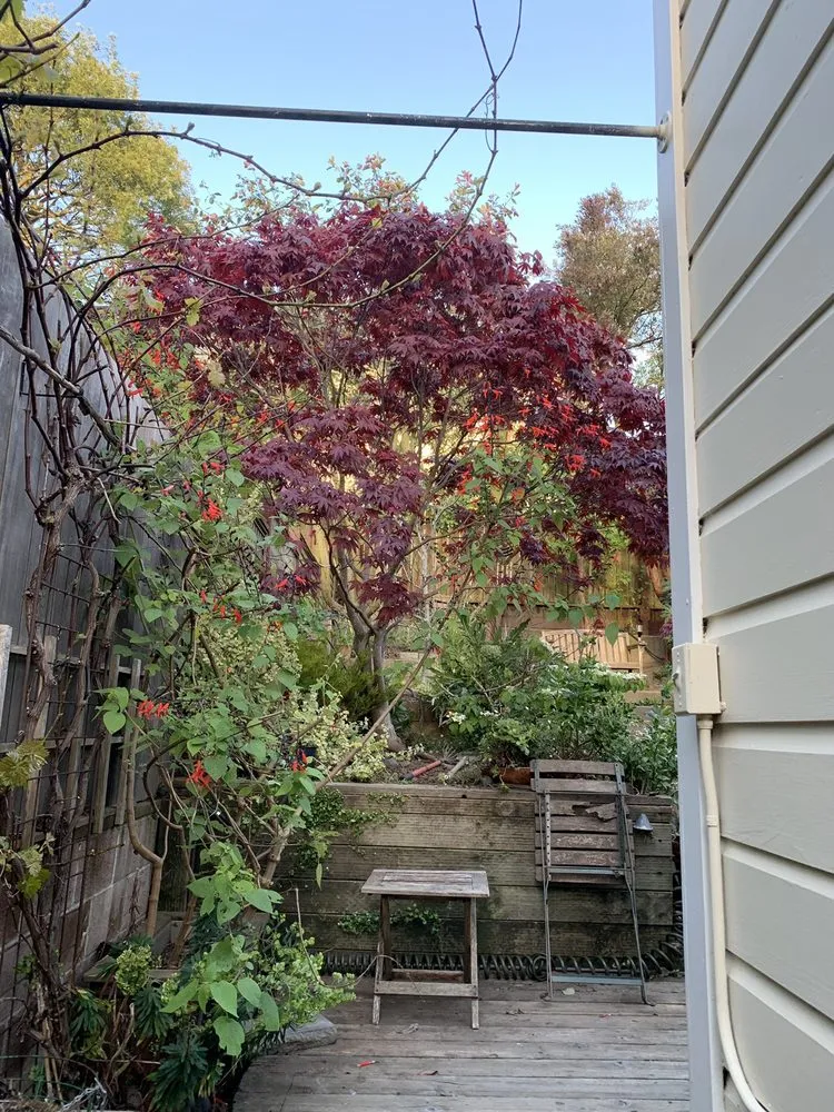 Affordable lawn care service for year-round maintenance in San Francisco, CA by Evergreen Tree & Gardening Service