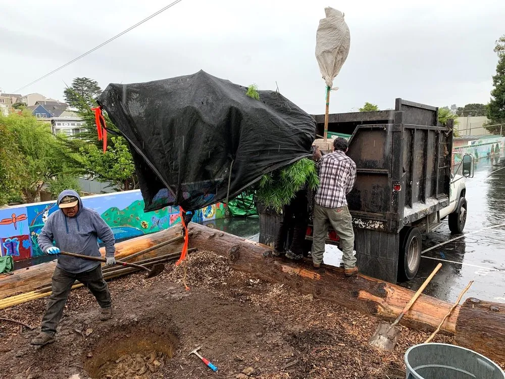 Professional garden landscaping experts serving San Francisco, CA - Evergreen Tree & Gardening Service