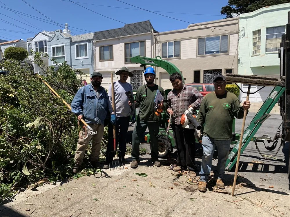 Affordable landscaping services for residential properties in San Francisco, CA by Evergreen Tree & Gardening Service